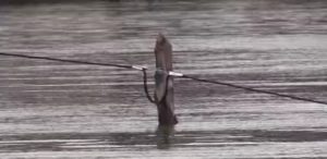 Screenshot_20180319-143428_Gallery