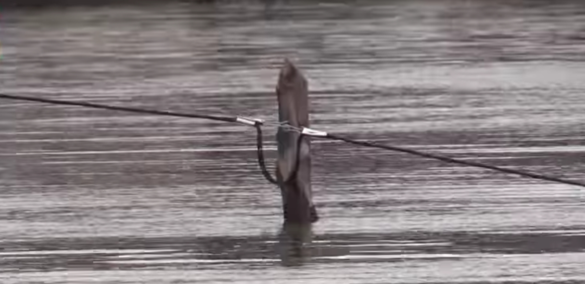 Screenshot_20180319-143428_Gallery