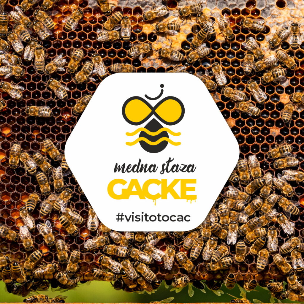 KORAKOM DO ZDRAVLJA – MEDNOM STAZOM GACKE